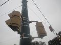 Crouse-hinds Type R pedestrian signal backs.jpeg